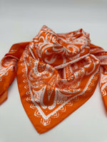 Blotted Orange Paisley